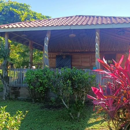 Finca Montana Sagrada Mérida エクステリア 写真