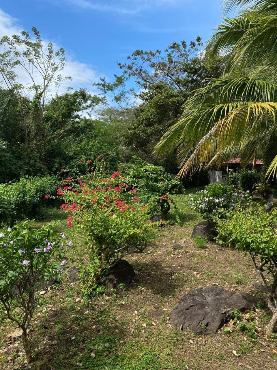 Finca Montana Sagrada Mérida エクステリア 写真