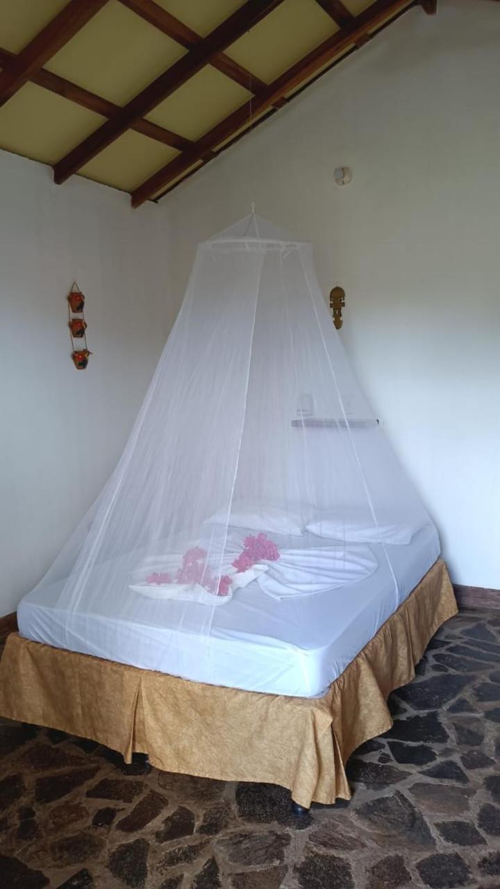 Finca Montana Sagrada Mérida エクステリア 写真