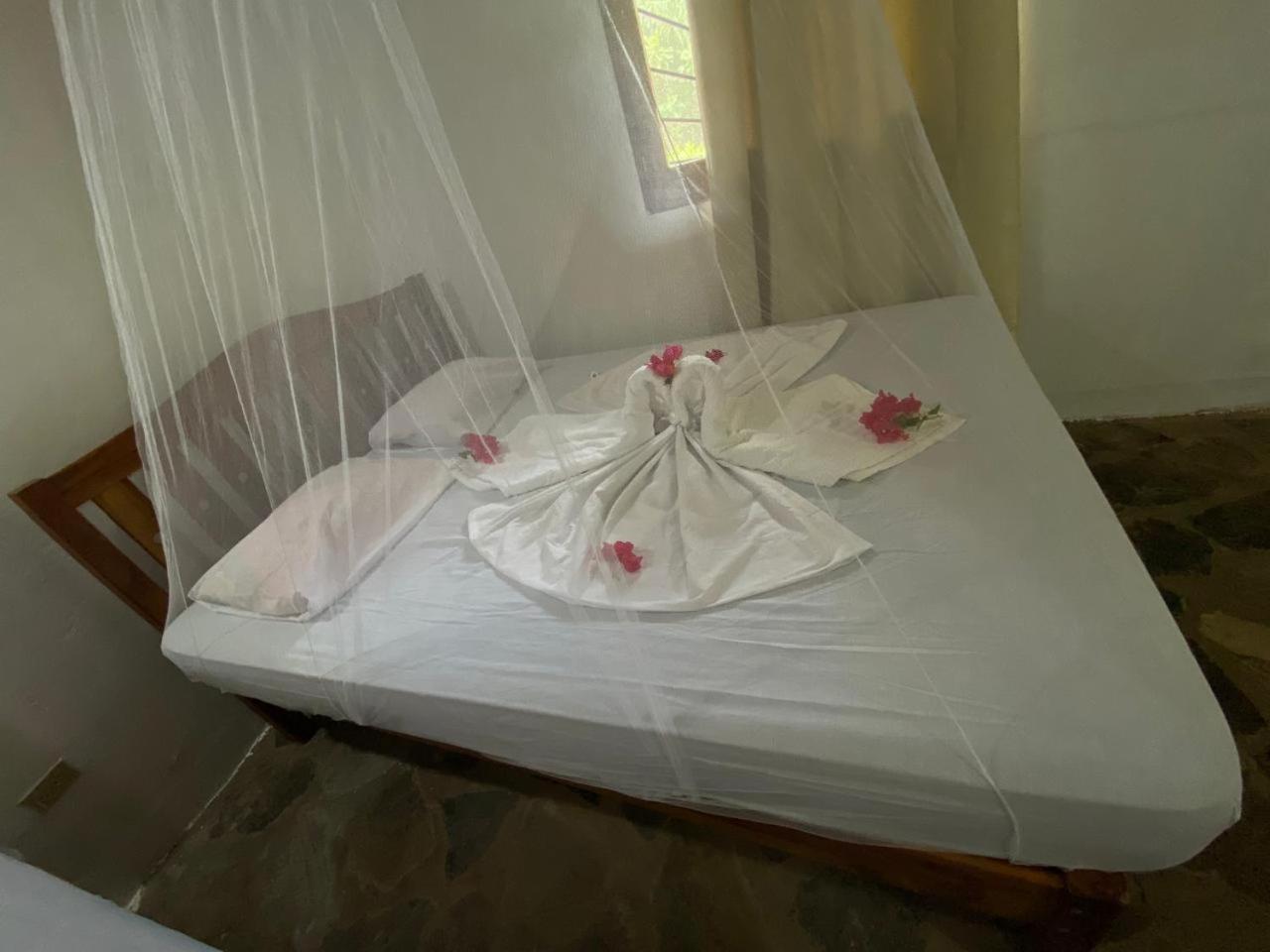 Finca Montana Sagrada Mérida エクステリア 写真
