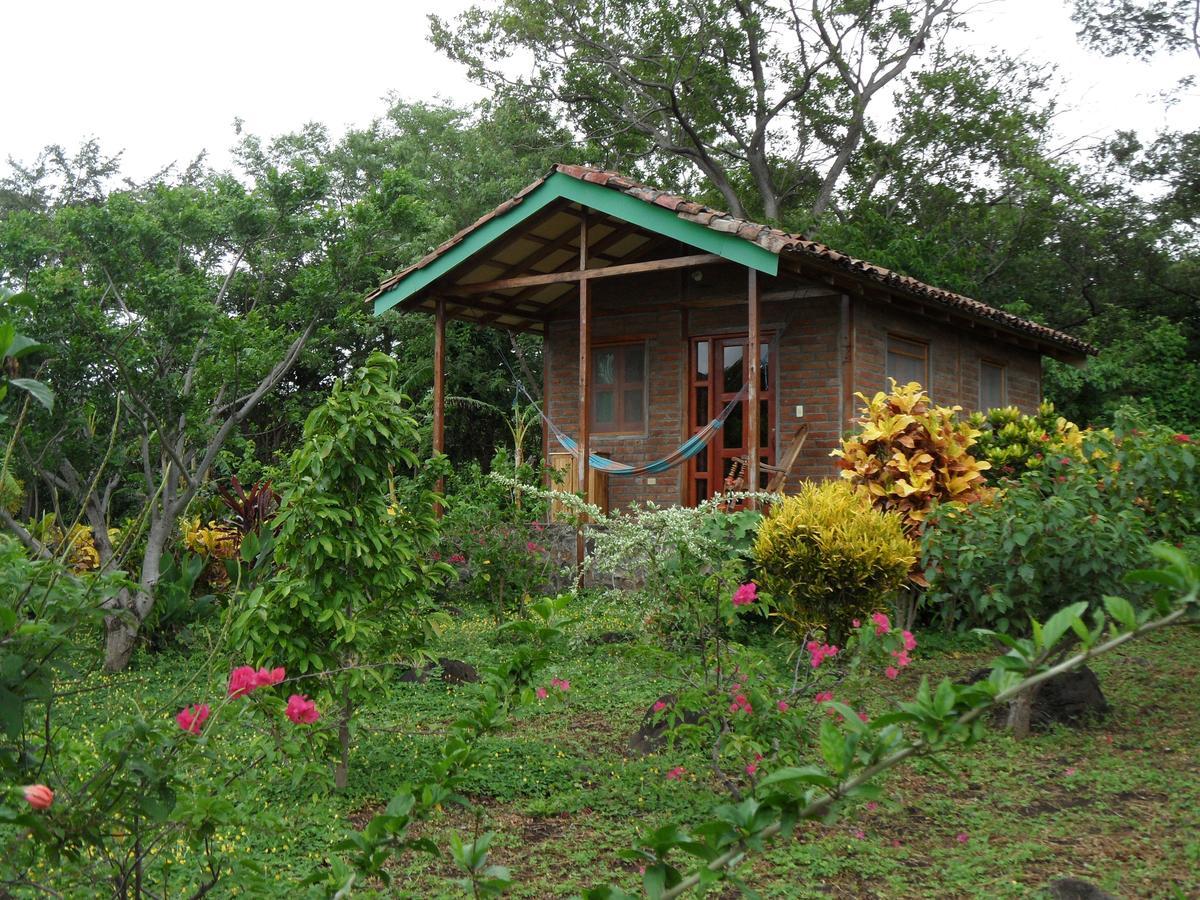 Finca Montana Sagrada Mérida エクステリア 写真