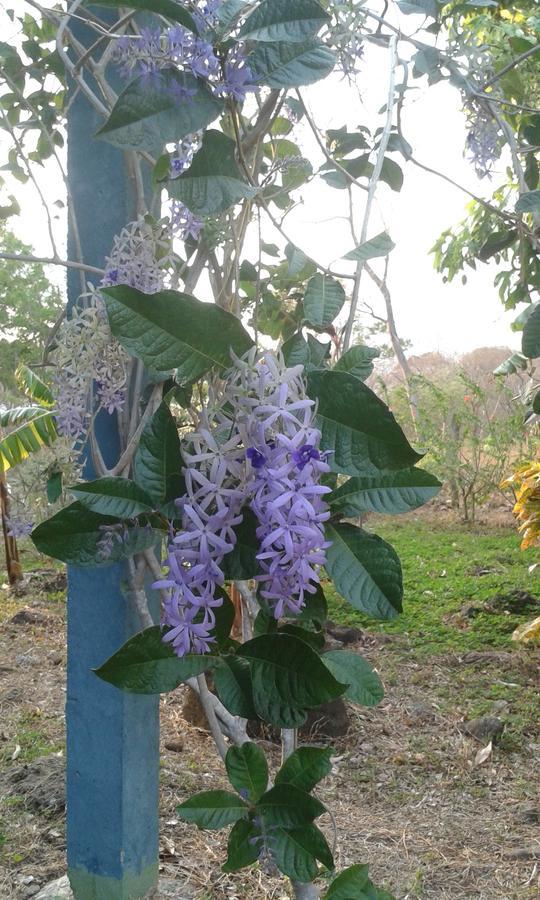 Finca Montana Sagrada Mérida エクステリア 写真