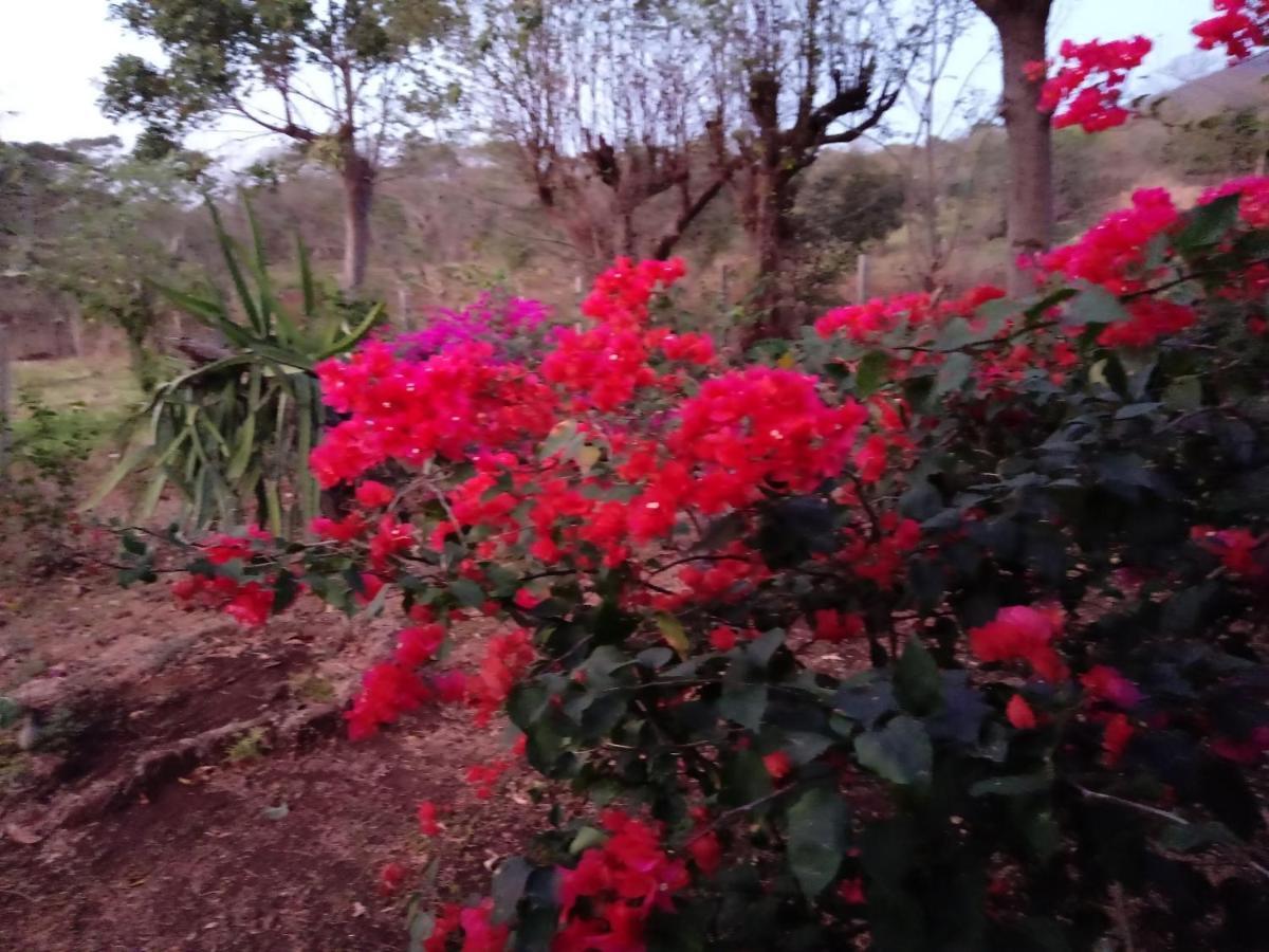Finca Montana Sagrada Mérida エクステリア 写真