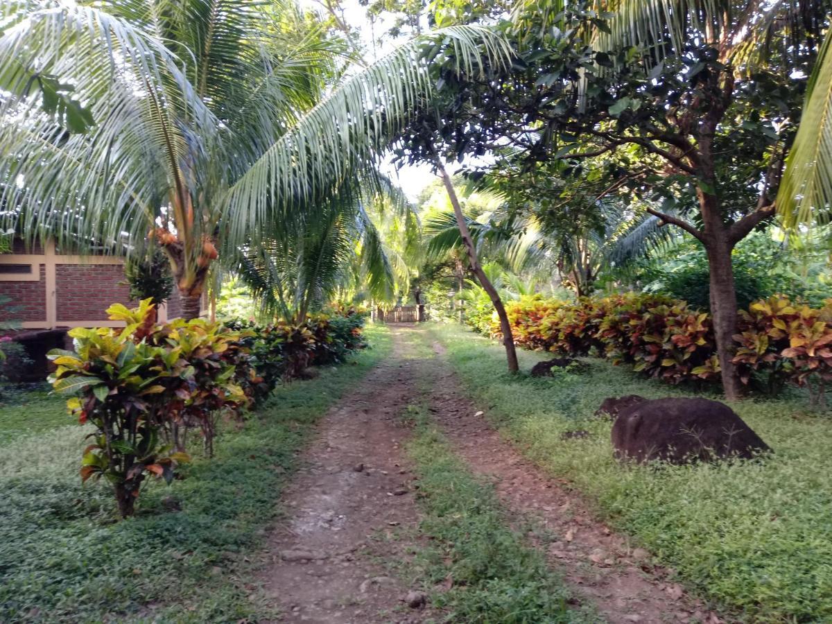 Finca Montana Sagrada Mérida エクステリア 写真
