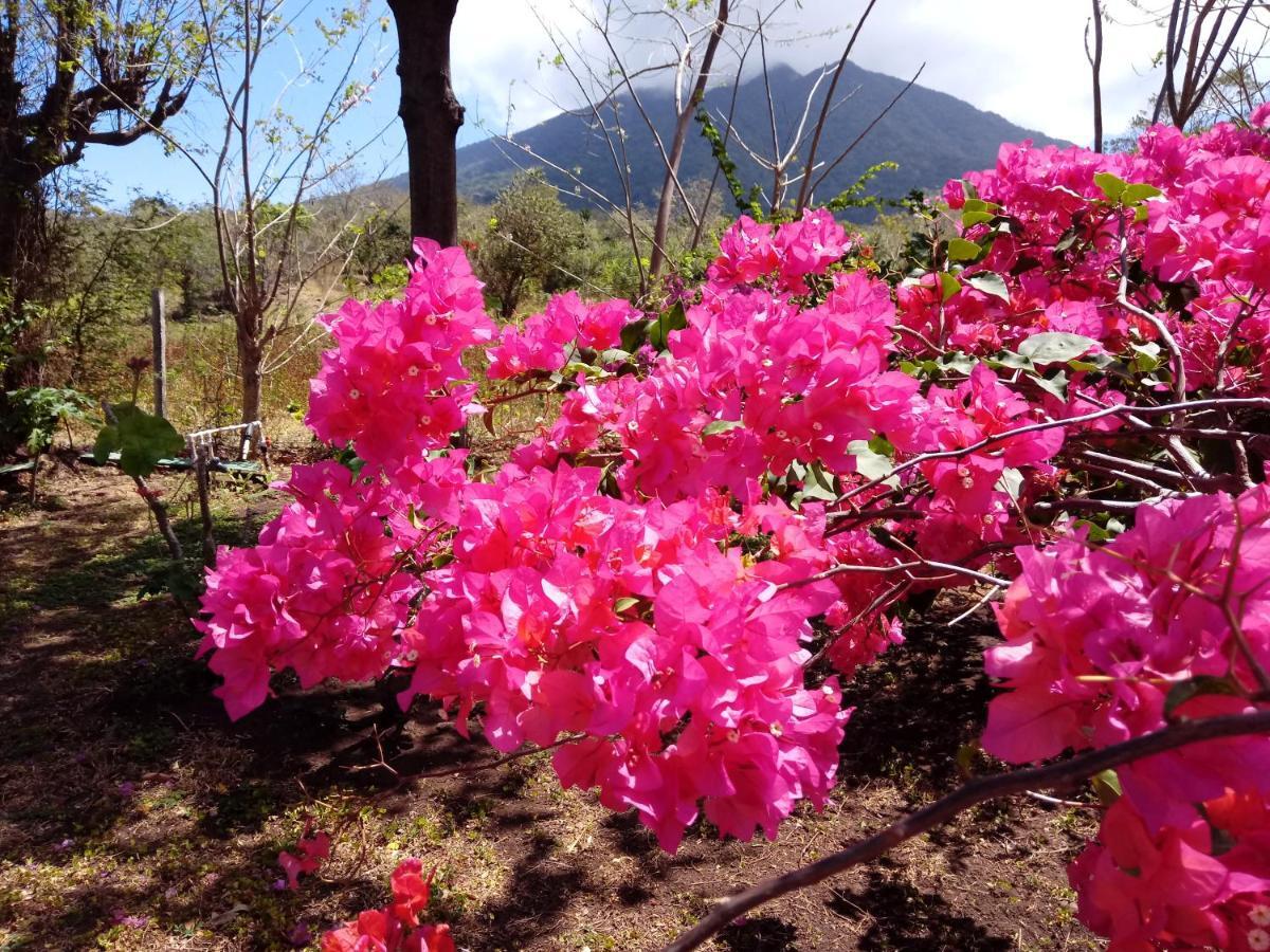 Finca Montana Sagrada Mérida エクステリア 写真