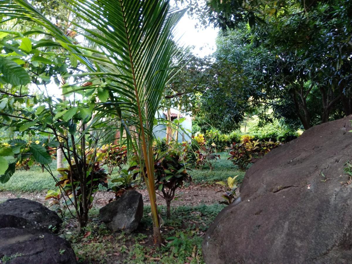 Finca Montana Sagrada Mérida エクステリア 写真